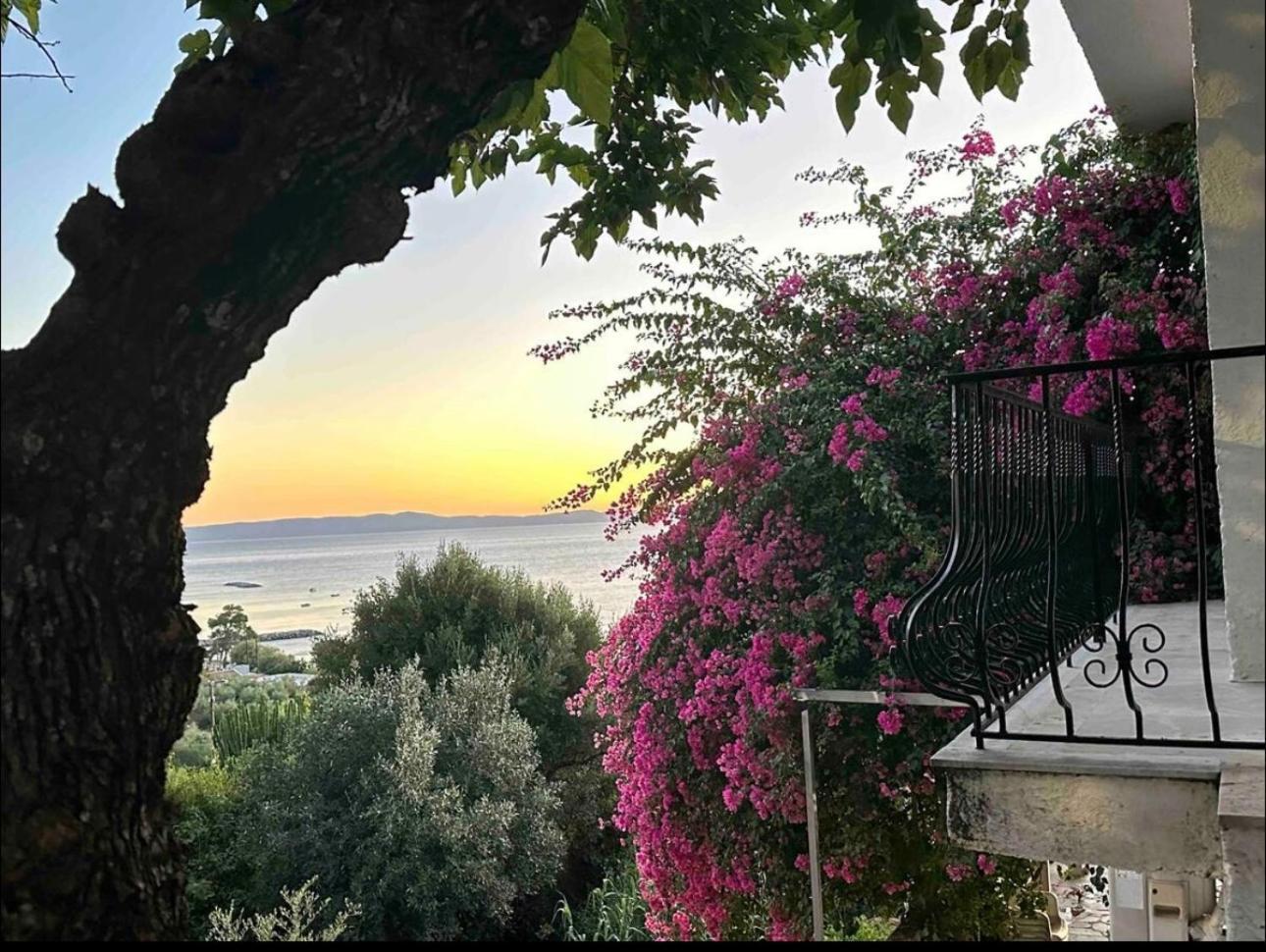 Villa Pinelopi Kalamata Dış mekan fotoğraf